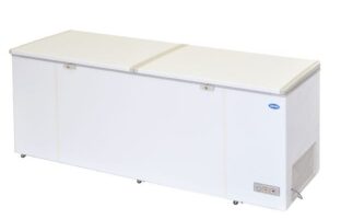 SNOW Lifting Door Series Chest Freezer (710L) LY750LDD